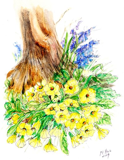 Spring Woodland by Nell Hill